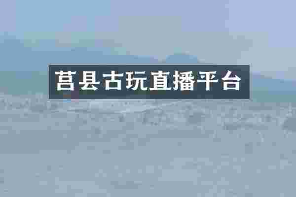 莒县古玩直播平台