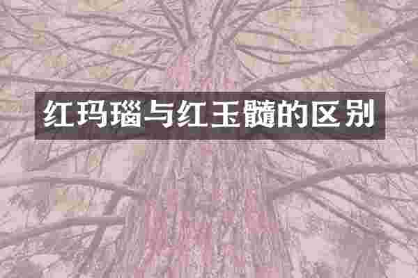 红玛瑙与红玉髓的区别