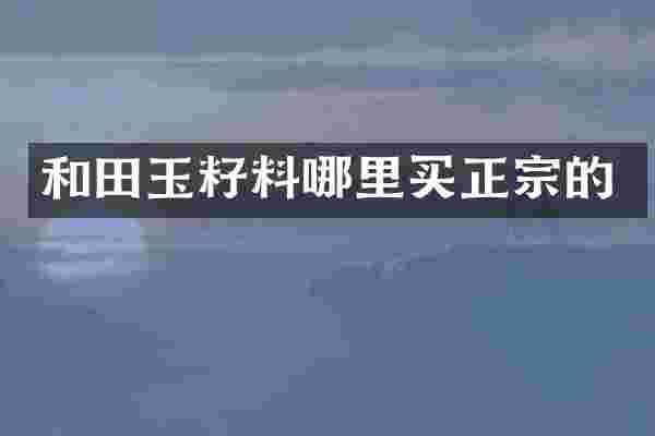 和田玉籽料哪里买正宗的