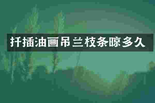 扦插油画吊兰枝条晾多久