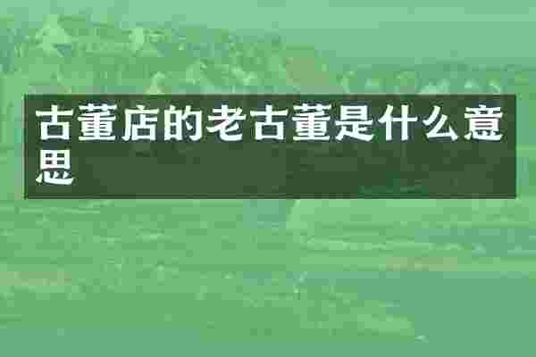 古董店的老古董是什么意思