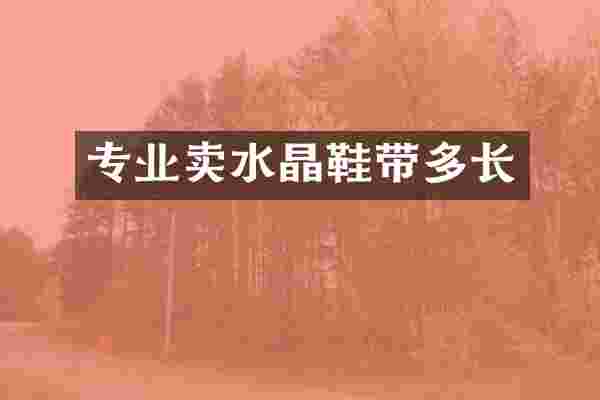 专业卖水晶鞋带多长