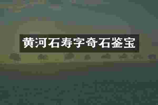 黄河石寿字奇石鉴宝
