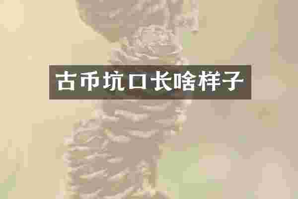古币坑口长啥样子