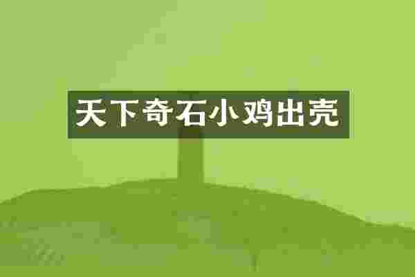 天下奇石小鸡出壳