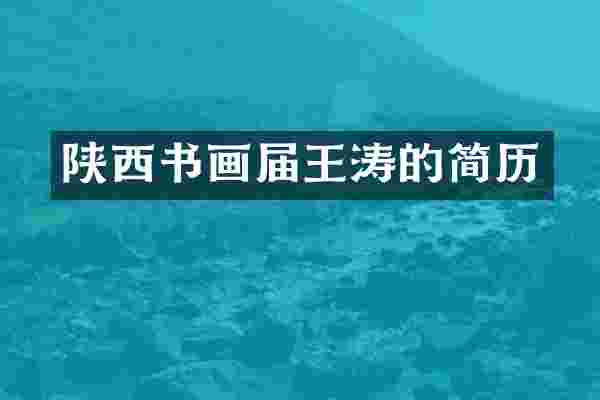陕西书画届王涛的简历