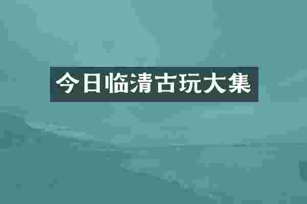 今日临清古玩大集