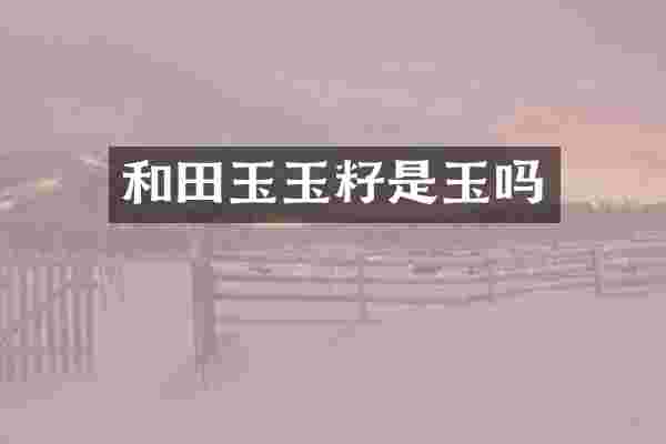 和田玉玉籽是玉吗