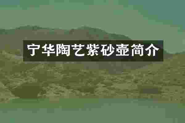 宁华陶艺紫砂壶简介