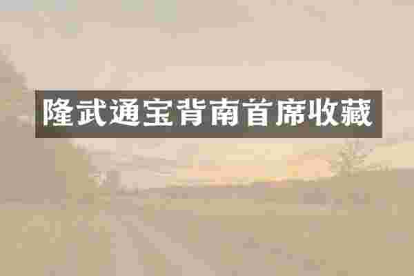 隆武通宝背南首席收藏