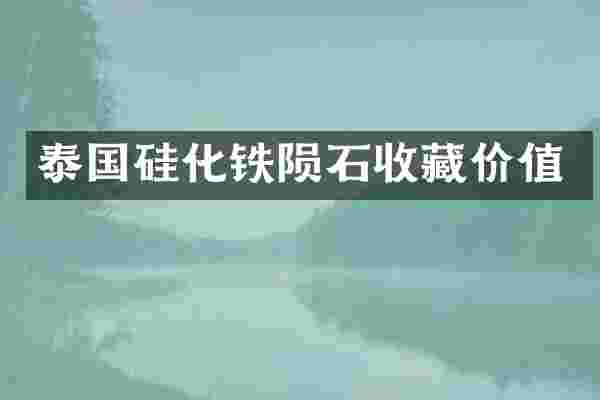泰国硅化铁陨石收藏价值