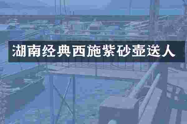 湖南经典西施紫砂壶送人