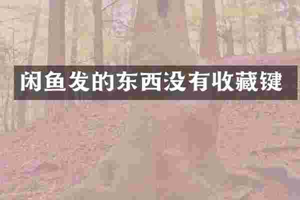 闲鱼发的东西没有收藏键