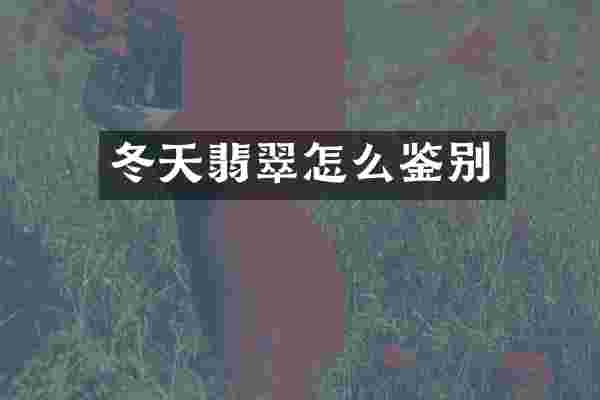 冬天翡翠怎么鉴别