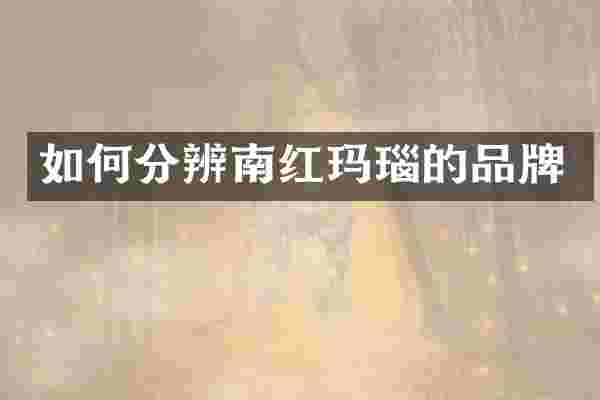 如何分辨南红玛瑙的品牌