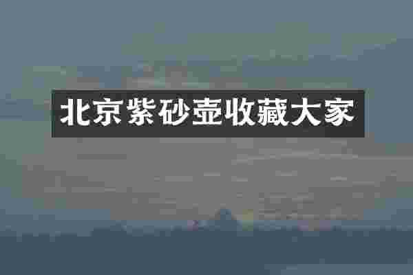 北京紫砂壶收藏大家