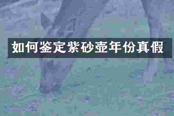 如何鉴定紫砂壶年份真假