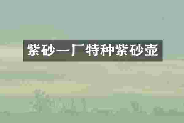 紫砂一厂特种紫砂壶