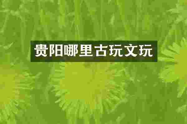贵阳哪里古玩文玩