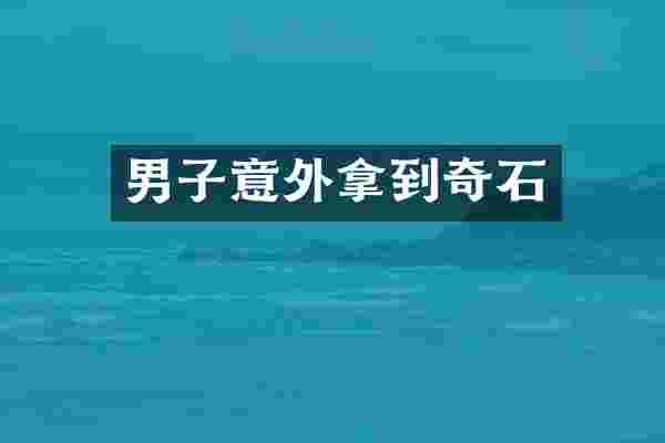 男子意外拿到奇石