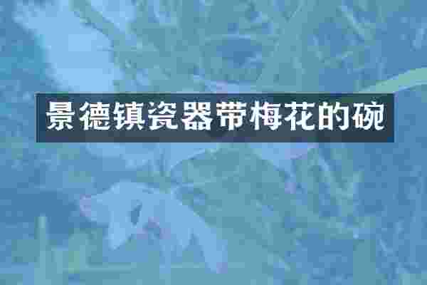 景德镇瓷器带梅花的碗