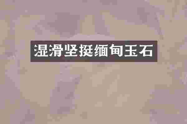 湿滑坚挺缅甸玉石