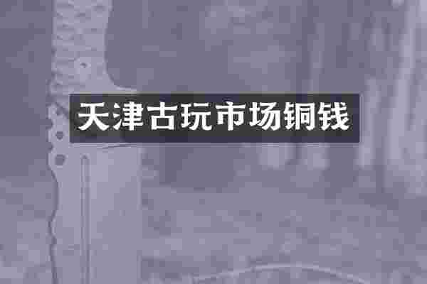 天津古玩市场铜钱