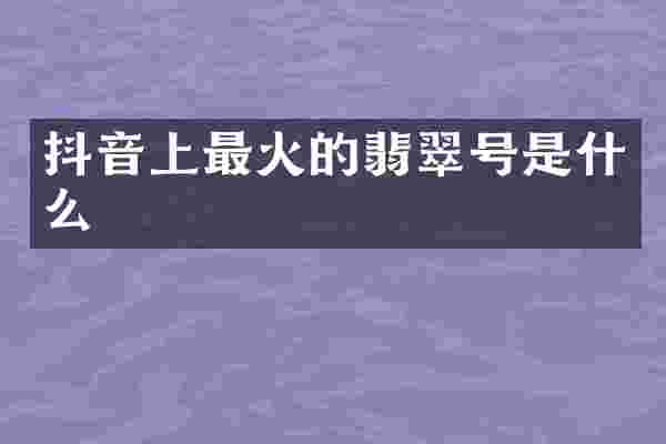 抖音上最火的翡翠号是什么