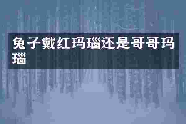 兔子戴红玛瑙还是哥哥玛瑙