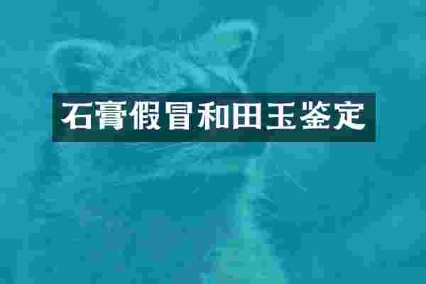 石膏假冒和田玉鉴定