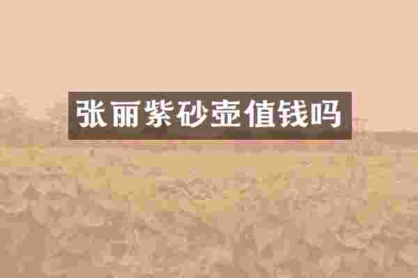 张丽紫砂壶值钱吗
