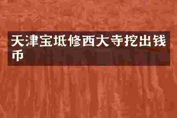 天津宝坻修西大寺挖出钱币
