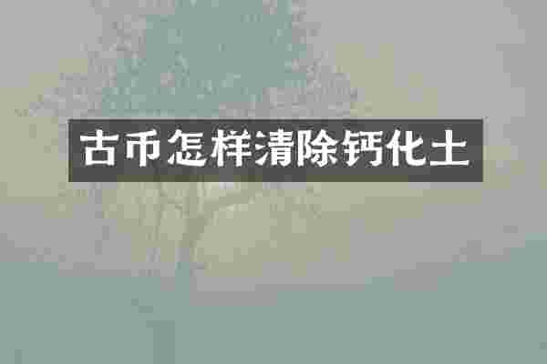 古币怎样清除钙化土