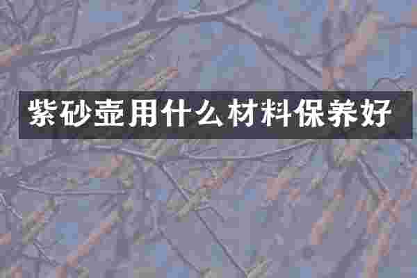 紫砂壶用什么材料保养好