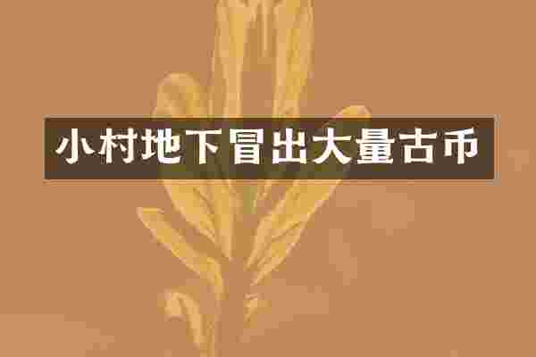 小村地下冒出大量古币