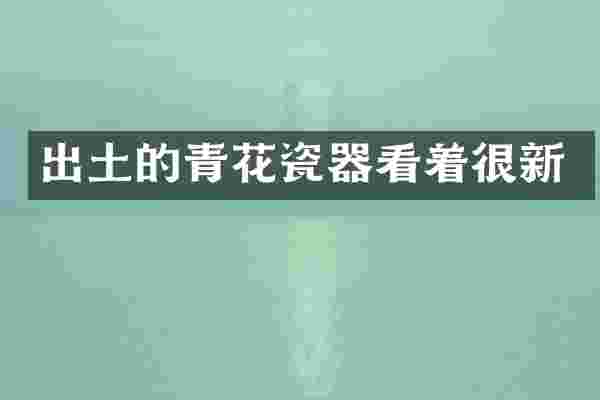 出土的青花瓷器看着很新