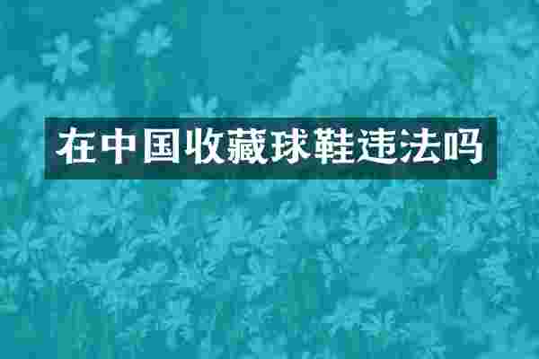 在中国收藏球鞋违法吗