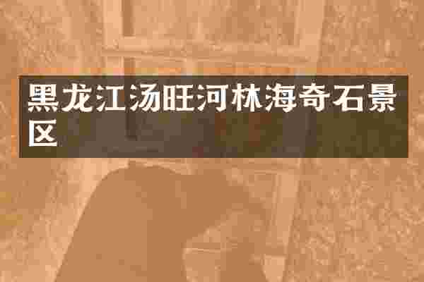 黑龙江汤旺河林海奇石景区