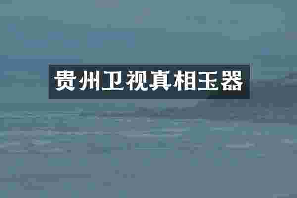 贵州卫视真相玉器