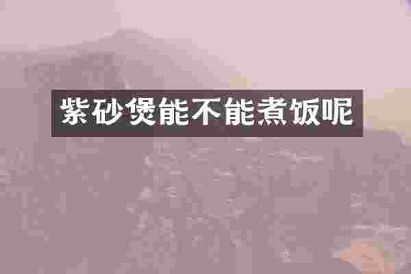 紫砂煲能不能煮饭呢
