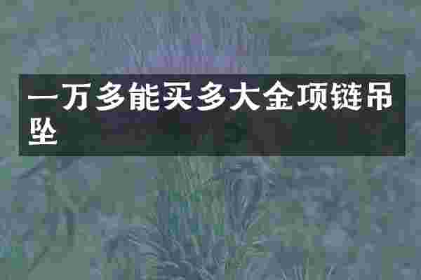 一万多能买多大金项链吊坠