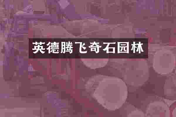英德腾飞奇石园林
