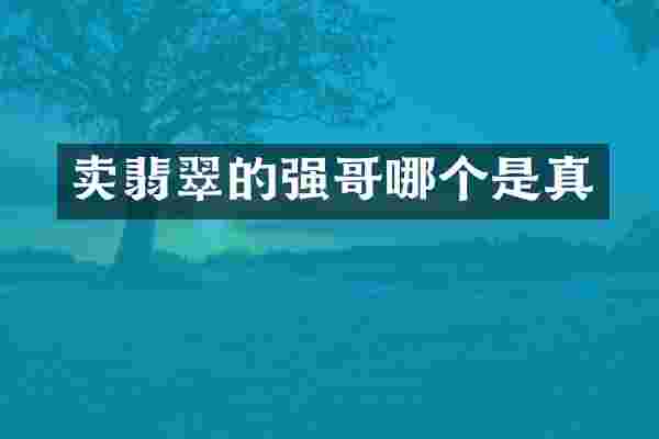 卖翡翠的强哥哪个是真