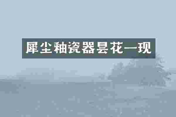 犀尘釉瓷器昙花一现