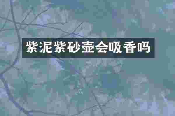 紫泥紫砂壶会吸香吗