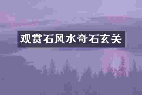 观赏石风水奇石玄关