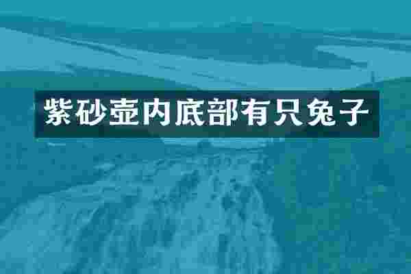 紫砂壶内底部有只兔子