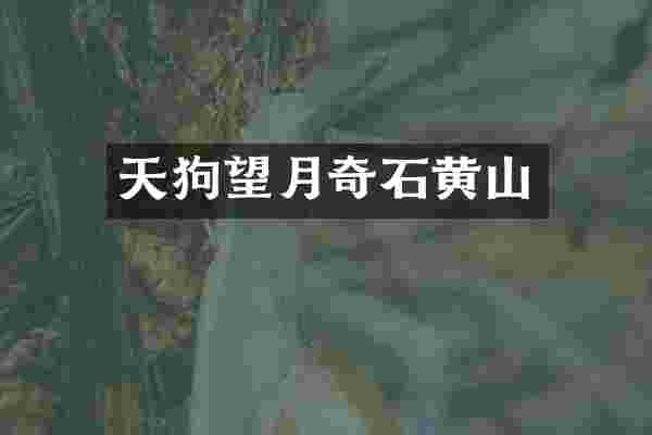 天狗望月奇石黄山
