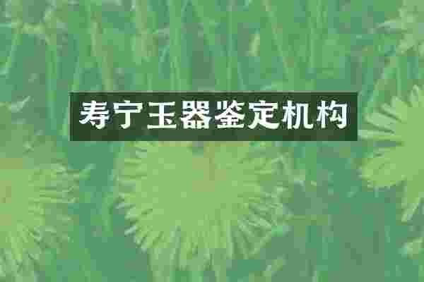 寿宁玉器鉴定机构