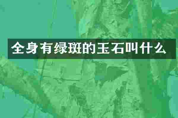 全身有绿斑的玉石叫什么